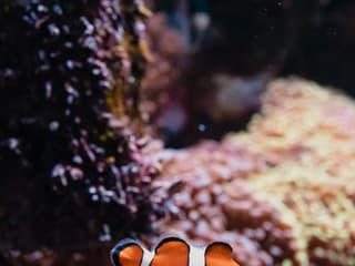 Aquarium du Grand Lyon: Entry Ticket — gallery 3
