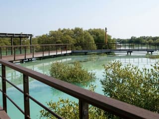 Jubail Mangrove Park: Boardwalk Experience Tour