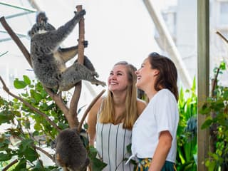 [Save upto 55%] Sydney 4 Attractions Pass