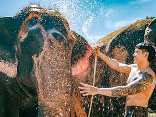 Phuket Elephant Care: Feed, Shower & Mud Spa Guided Tours with Optional Transfers — gallery 1