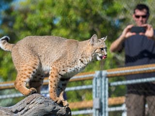 Billetter til Zoo Miami: Grupper på 4 og flere, Zoo Miami, Miami