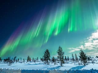 Tromso: Northern Lights Chase Tour — gallery 2