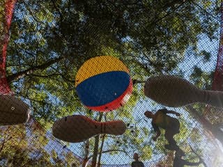 Treetops Adventure: Central Coast