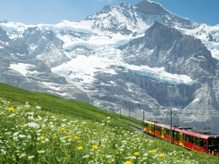 Jungfraujoch: Roundtrip Train from Grindelwald
