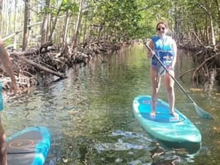 Mangrove Jungle: SUP/Kayak Adventure + Drinks