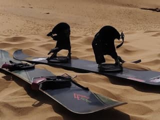 Doha: Half-Day Desert Safari Tour + Roundtrip Transfer — gallery 2