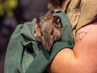 WILD LIFE Sydney Zoo Tickets — gallery 1
