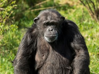 Whipsnade Zoo Entrance Tickets — gallery 3