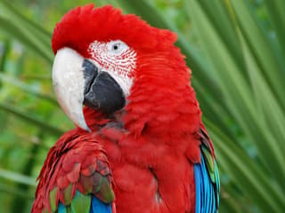 Lisbon Zoo: Fast Track Ticket, Lisbon Zoo, لیسبون و سینترا