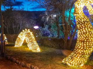 El Bosque Encantado: Entry Ticket