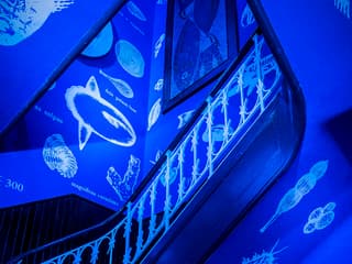 Tickets to Vasco da Gama Aquarium in Lisbon — gallery 2