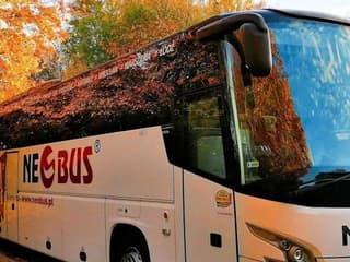 Krakow: Bus Transfer from Krakow Airport to Central Bus Station, Balice