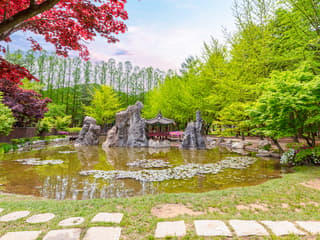 Nami Island Day Tour with Gangchon Rail Bike — gallery 1