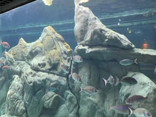 Acquario di Livorno: Entry Ticket