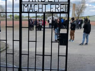 Sachsenhausen: Small Group Tour + Transport from Berlin