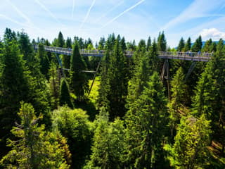 Zdiar : Treetop Walk Bachledka Private Tour from Krakow — gallery 2