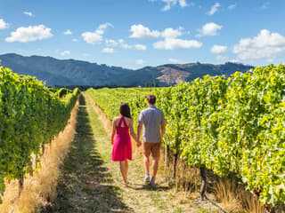 From Naples: Vesuvius Wine Tasting Experience With Mediterranean Lunch