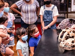 The Field Museum of Natural History: Guided Tour + Early Access + Exhibition — gallery 1