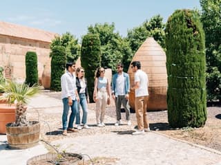 Toledo: City & Winery Tour from Madrid + Wine Tasting — gallery 1