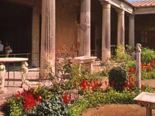 Pompeii: Day Trip from Rome + Lunch — gallery 3