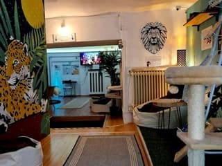 Cat Museum Budapest: Entry Ticket + Audio Guide — gallery 3