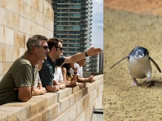 Melbourne: Magic Combo Tour