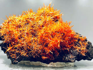 Geology and Mineralogy Gallery: Entry Ticket — gallery 2