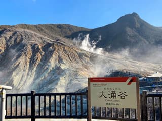 Hakone Free Pass — gallery 2
