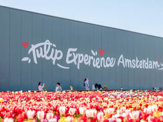 Tulip Experience Tickets with Tulip Fields Visit and Optional Transfers from Amsterdam — gallery 2
