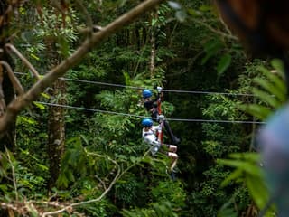 Treetops Adventure - Cape Tribulation