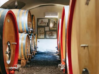From Naples: Vesuvius Wine Tasting Experience With Mediterranean Lunch