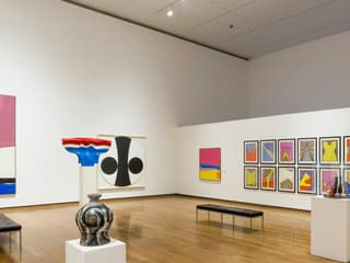 Everson Museum of Art: Entry Ticket