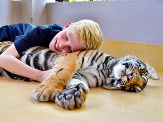 Tiger Park Tickets with Tiger Play Packages: Non-Thai Residents — gallery 2