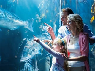 Go City Chicago Explorer Pass: Choose from 39 Attractions — gallery 2