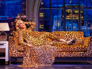 Death Becomes Her tickets at Lunt-Fontanne Theatre, New York, photo 2
