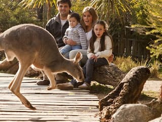 Temaikèn Zoo: Entrance & Transport from Buenos Aires — gallery 3