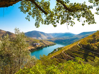Full Day River Cruise to Douro Valley with Meals and Return Transfer — gallery 3