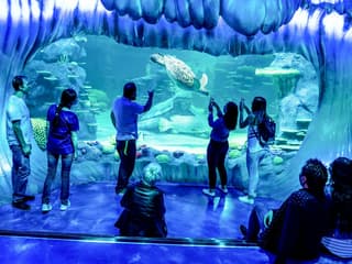 [Save upto 55%] Sydney 4 Attractions Pass
