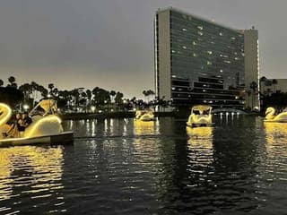 Long Beach: Swan Boat Rental at Rainbow Lagoon — gallery 1
