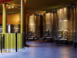 Bodegas Monje: Heimsókn í vínekru og vínsmökkun tickets at Bodegas Monje, Tenerife, photo 2