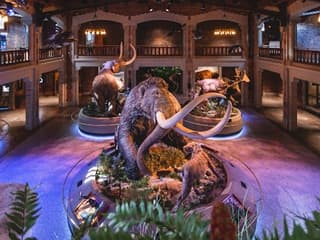 Toledo Zoo & Aquarium: Entry Ticket — gallery 3