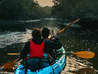 Guided Kayak Tour in the Mangroves