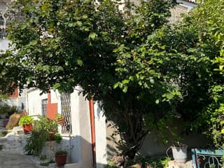 บริสเบน: ทัวร์เดินชมเมืองพร้อมไกด์ tickets at Athens Walking Tours, Athens, photo 1