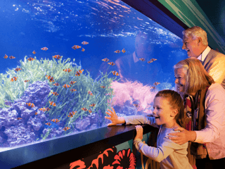 SEA LIFE London Aquarium: Standard Admission Tickets — gallery 1