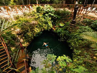 Cenote Adventuring with Regional Snack, Tequila Tasting and Transportation