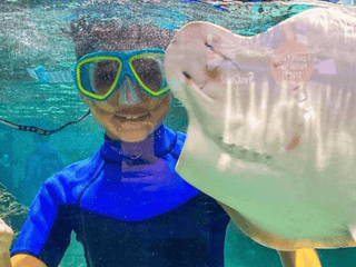 SeaQuest Las Vegas — gallery 2