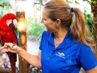 Discovery Cove: Entry Ticket — gallery 3
