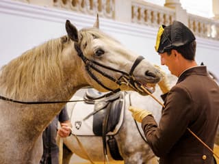 Spanish Riding School Training with Music Tickets — gallery 2