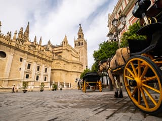 Guided Monumental Walking Tour in Seville — gallery 3