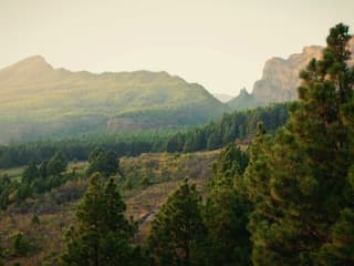 La Palma: Small Group Guided Day Tour from Tenerife + Lunch + Boat Ride — gallery 3